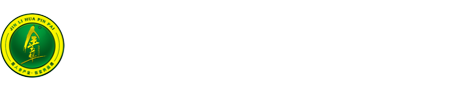 山東新視覺數碼